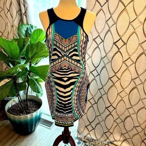 Express Animal Print and Astract Print 95% cotton dress! Size Large